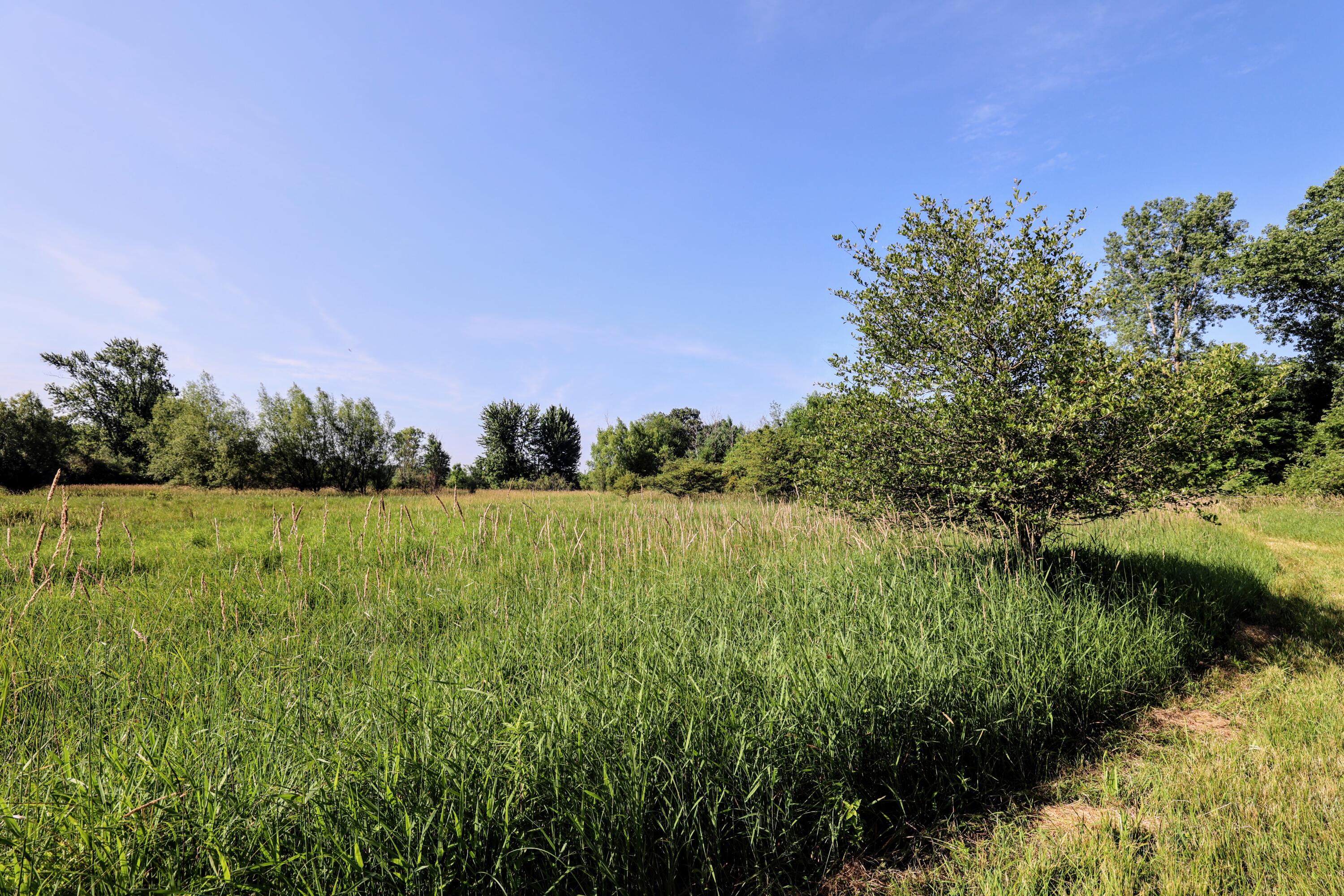 24 24 Mile Road Marshall, MI 49068 - Photo 30 of 62 30