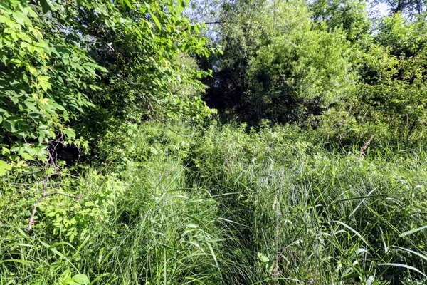 $525,000 | 24 24 Mile Road, Marshall, MI 49068