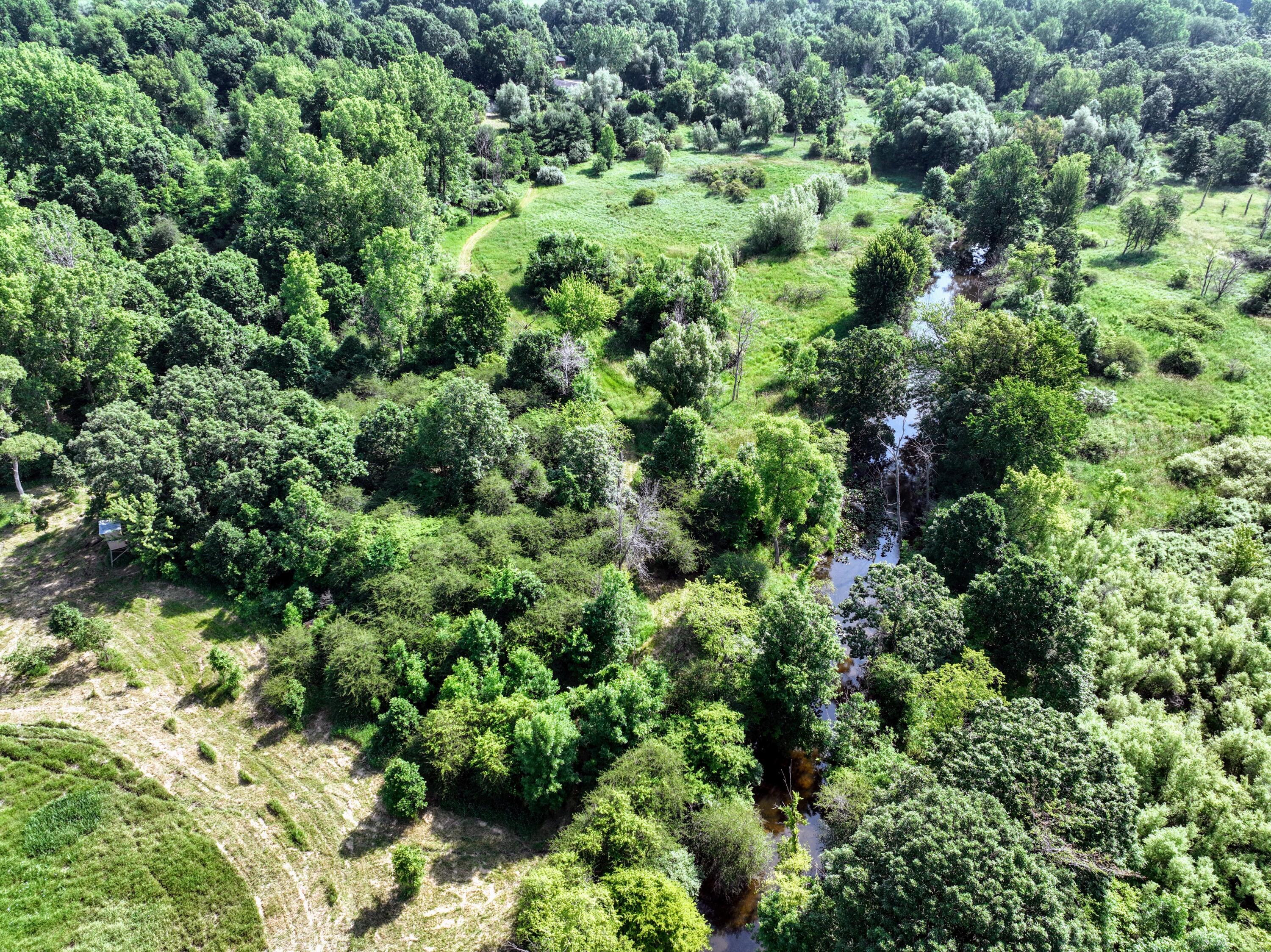 24 24 Mile Road Marshall, MI 49068 - Photo 44 of 62 44