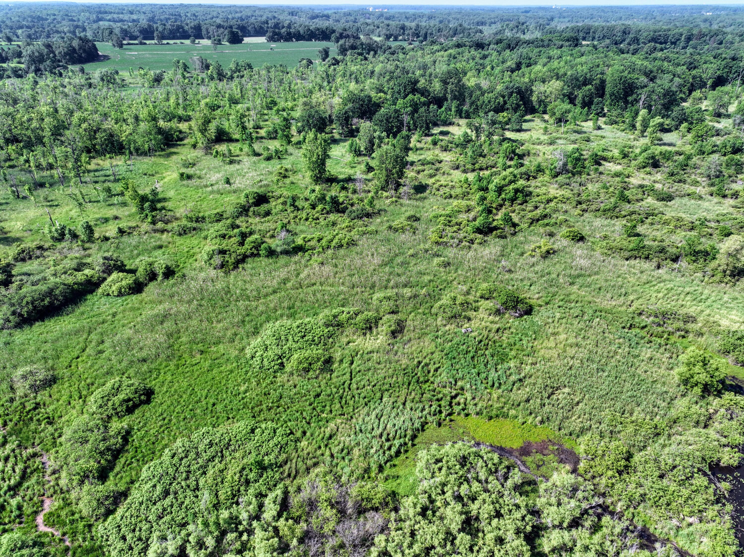 24 24 Mile Road Marshall, MI 49068 - Photo 47 of 62 47