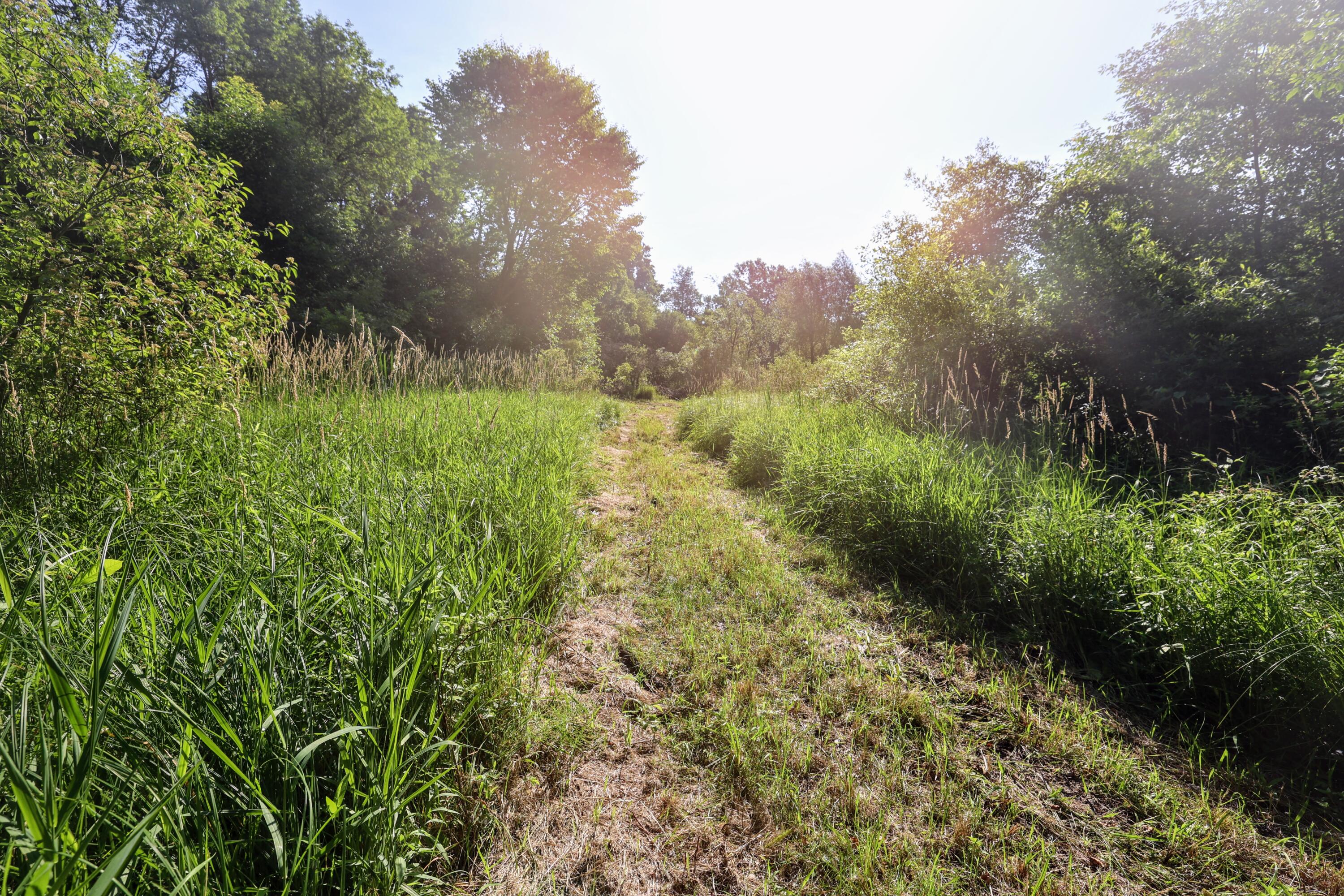 24 24 Mile Road Marshall, MI 49068 - Photo 5 of 62 5