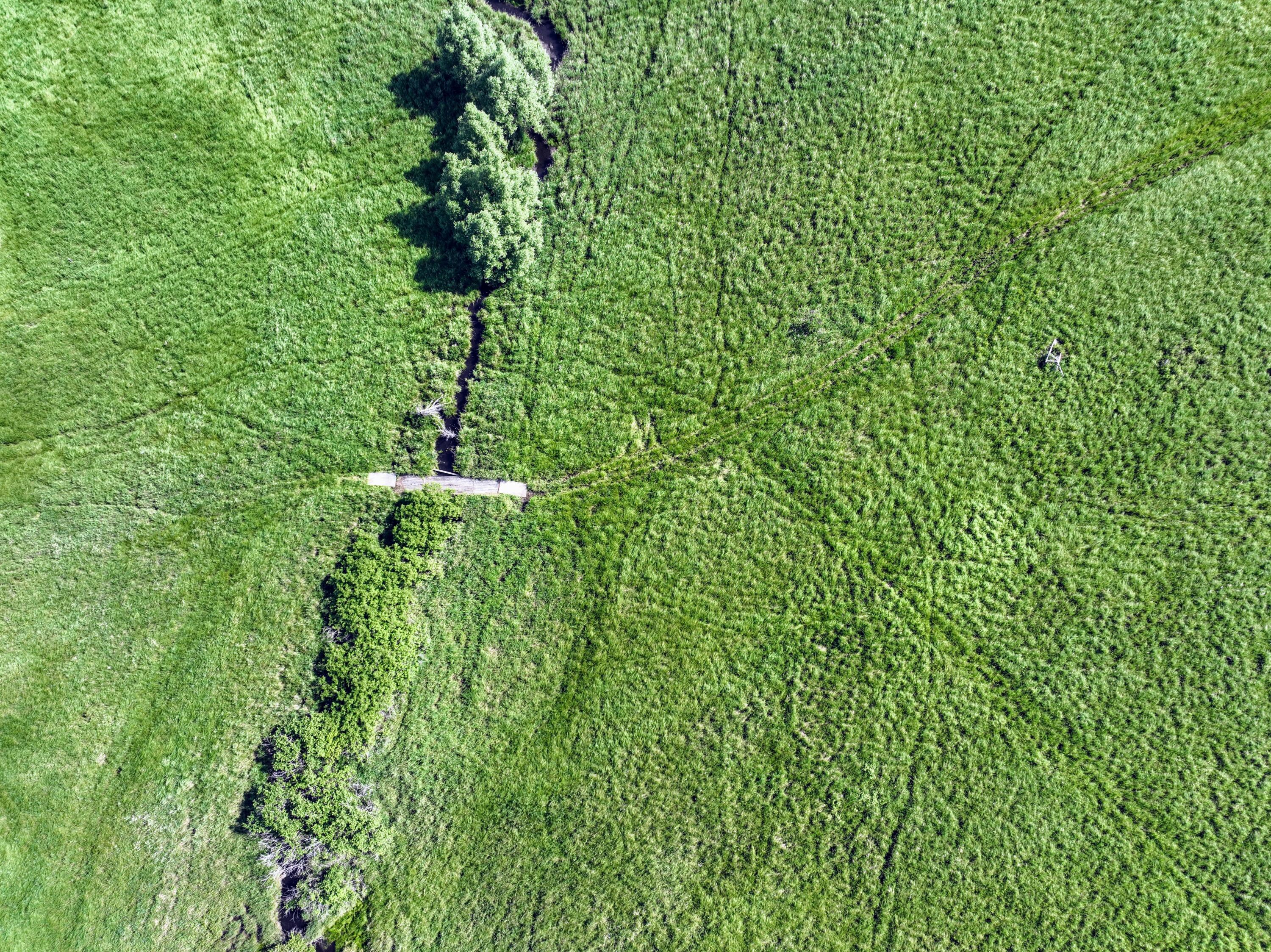 24 24 Mile Road Marshall, MI 49068 - Photo 55 of 62 55