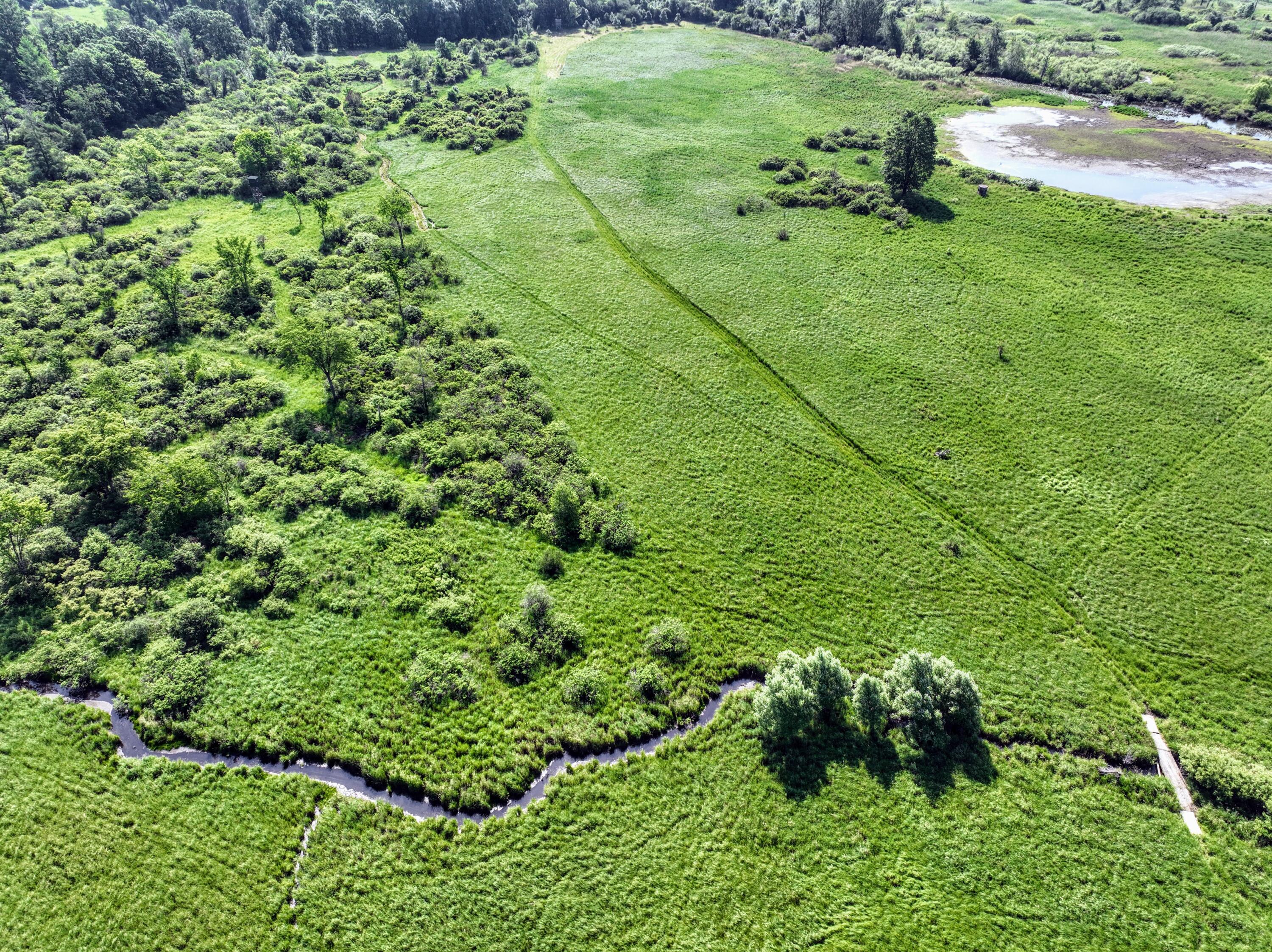 24 24 Mile Road Marshall, MI 49068 - Photo 57 of 62 57