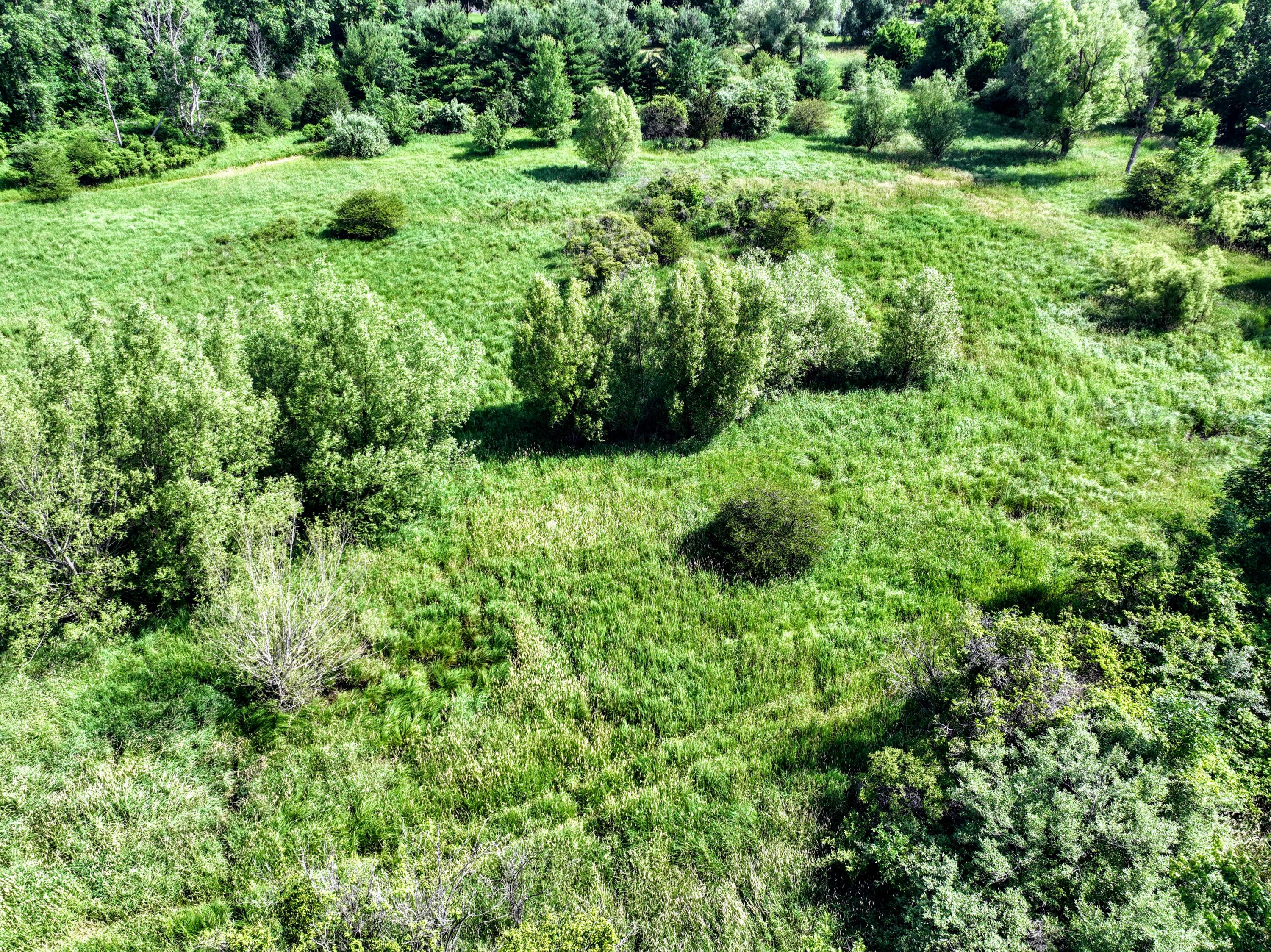 24 24 Mile Road Marshall, MI 49068 - Photo 60 of 62 60