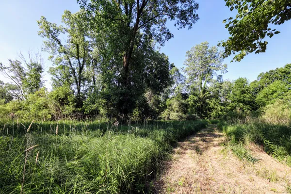 $525,000 | 24 24 Mile Road, Marshall, MI 49068