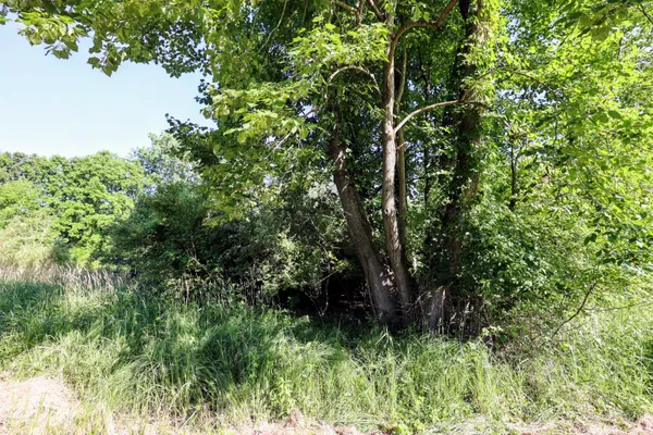 $525,000 | 24 24 Mile Road, Marshall, MI 49068