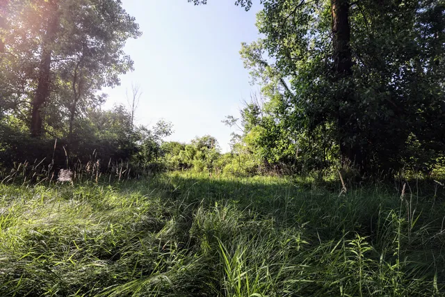 $525,000 | 24 24 Mile Road, Marshall, MI 49068