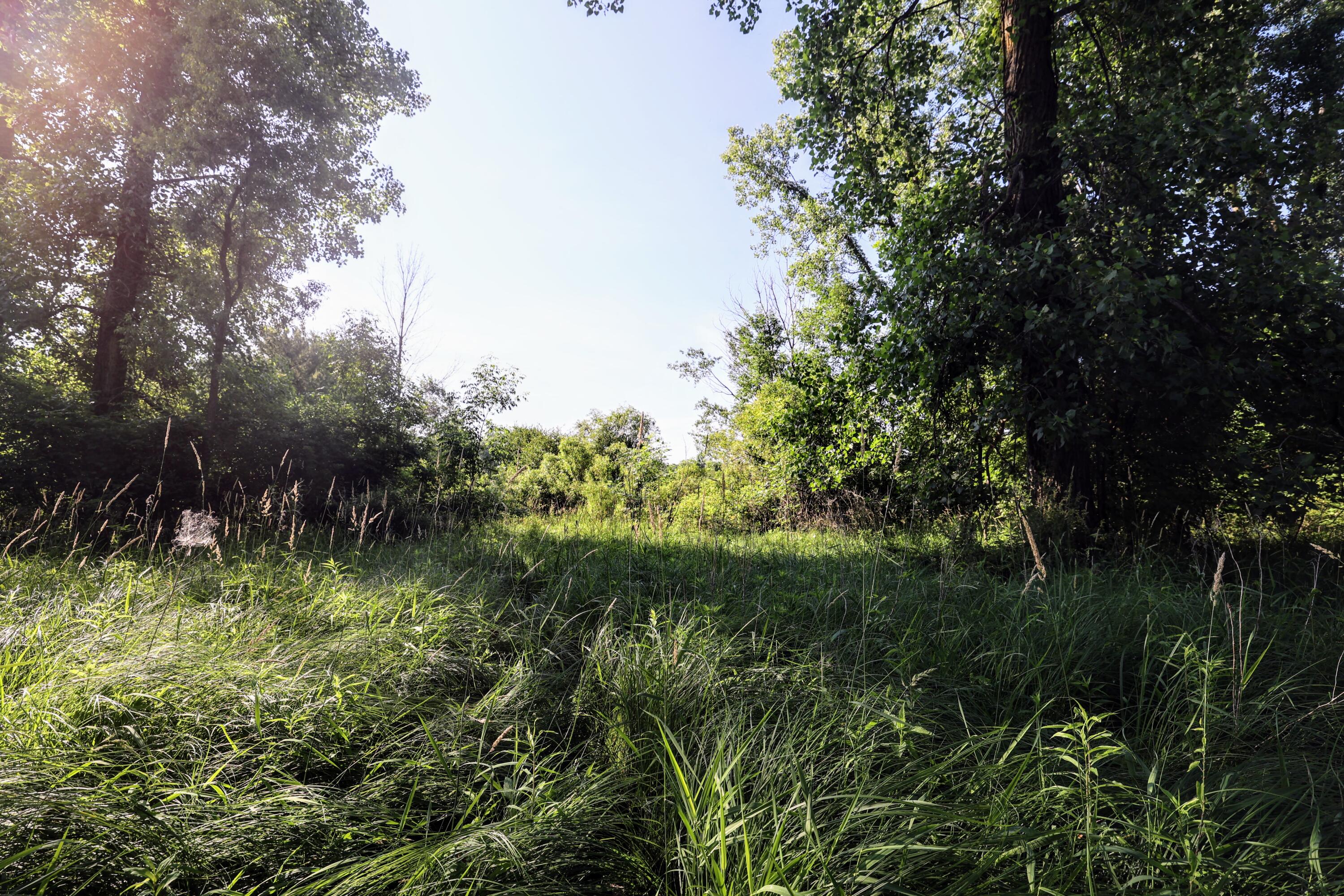 24 24 Mile Road Marshall, MI 49068 - Photo 8 of 62 8