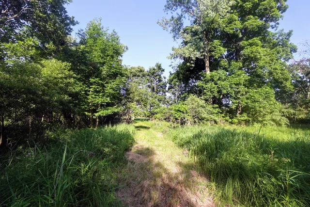 $525,000 | 24 24 Mile Road, Marshall, MI 49068