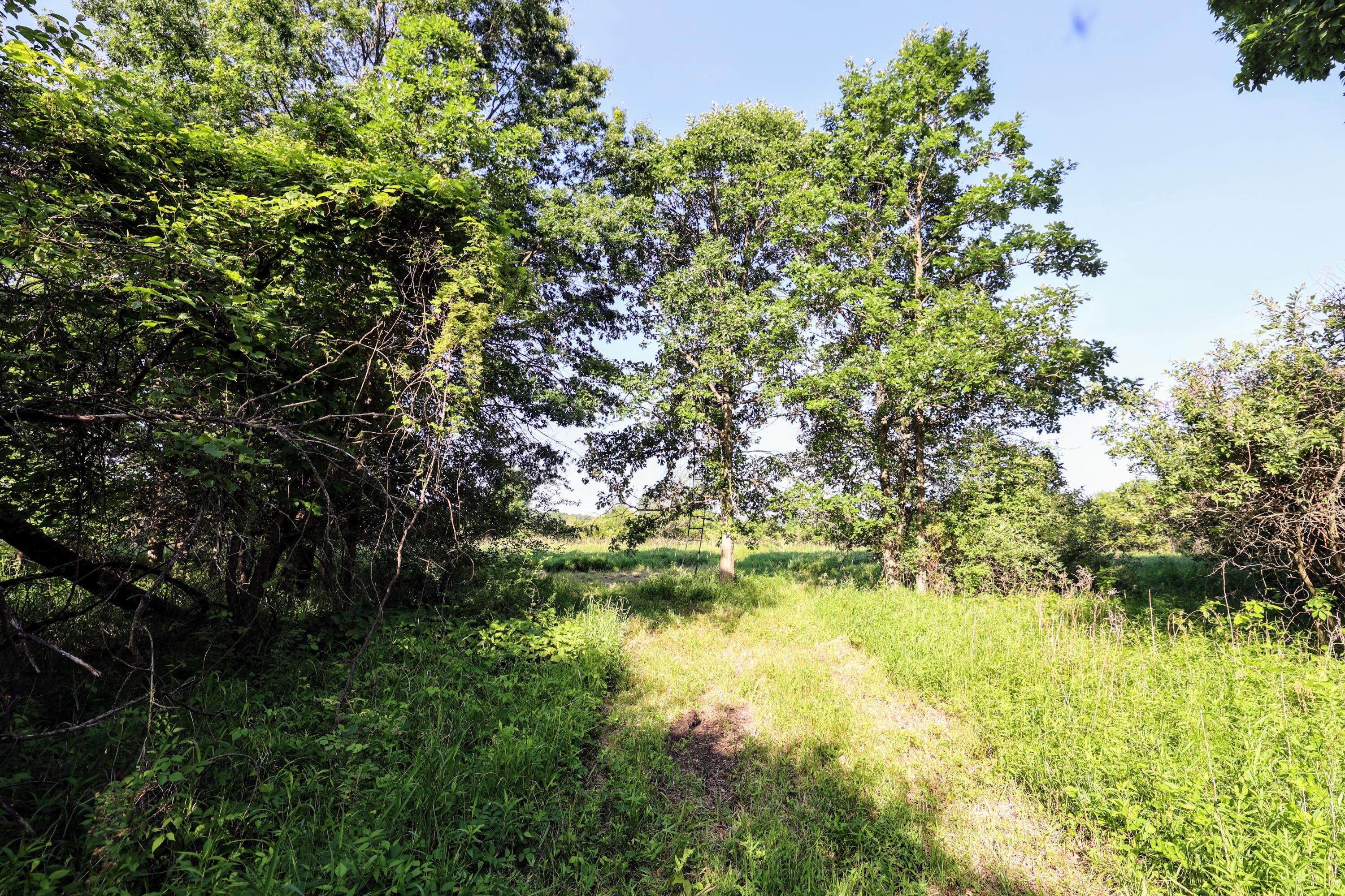 24 24 Mile Road Marshall, MI 49068 - Photo 10 of 62 10