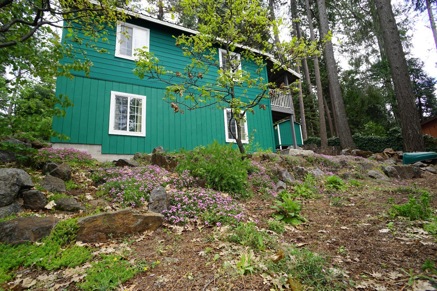 6830 Frontier Road Pollock Pines, CA 95726 - Photo 11 of 24