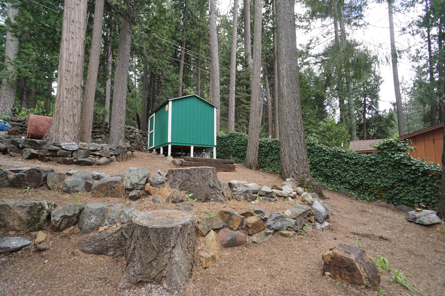 6830 Frontier Road Pollock Pines, CA 95726 - Photo 13 of 24