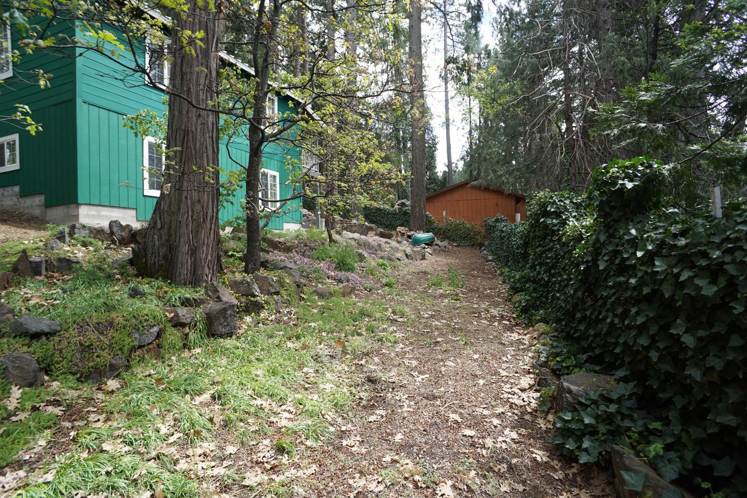 6830 Frontier Road Pollock Pines, CA 95726 - Photo 10 of 24
