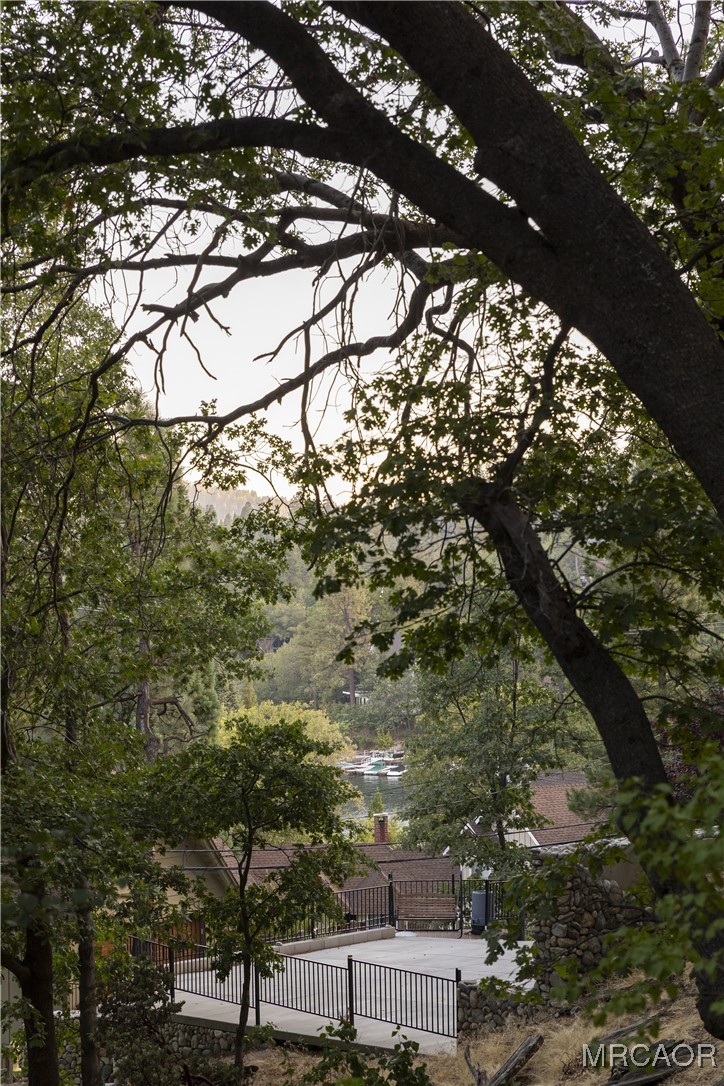 27710 West Shore Road Lake Arrowhead, CA 92352 - Photo 47 of 47 a backyard of a house with lots of trees