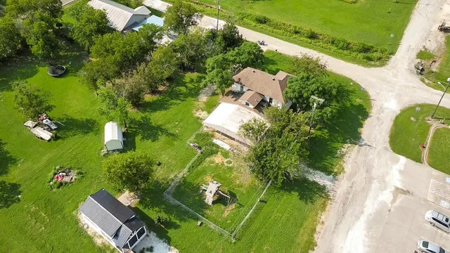 a view of a flower in a garden