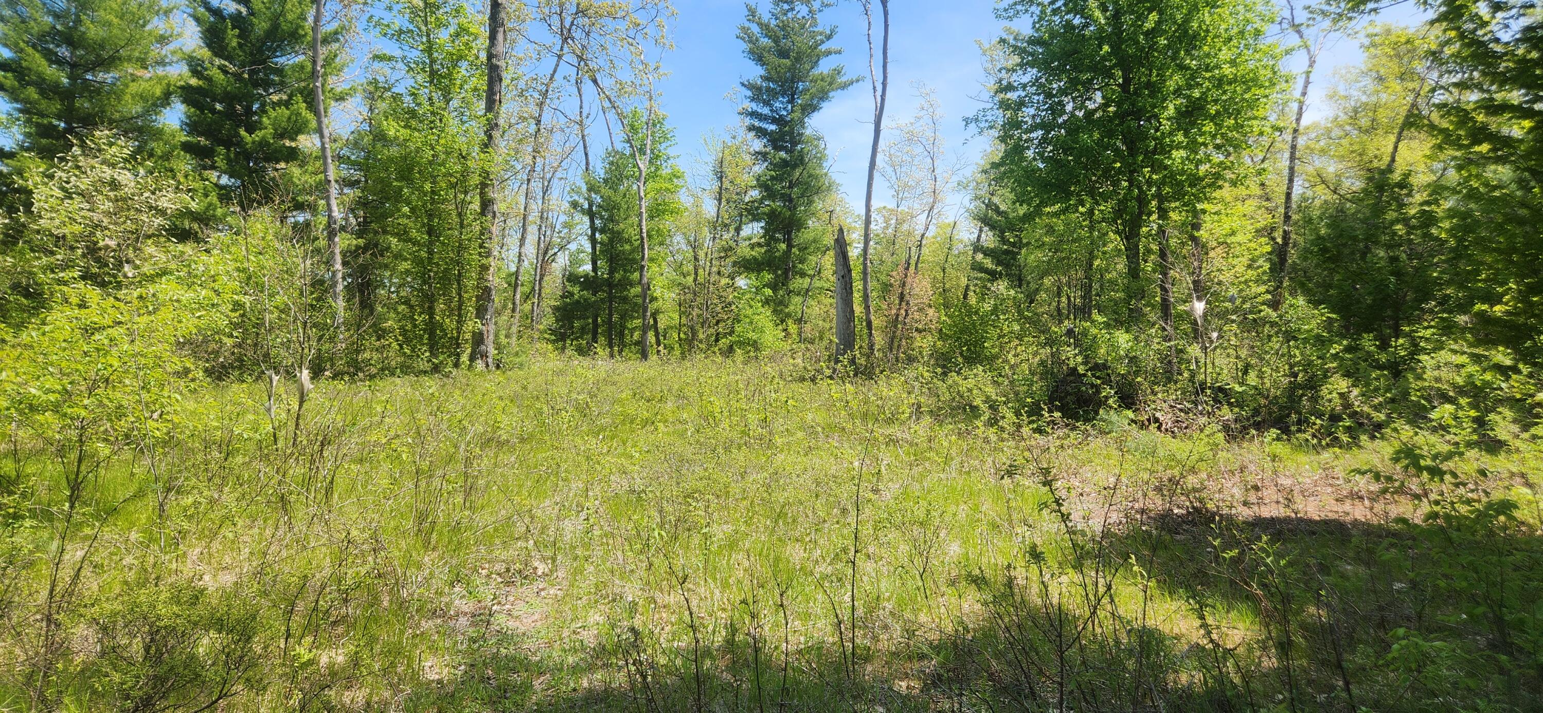 7746 North Woodbridge Road Brohman, MI 49312 - Photo 40 of 41 1000028670