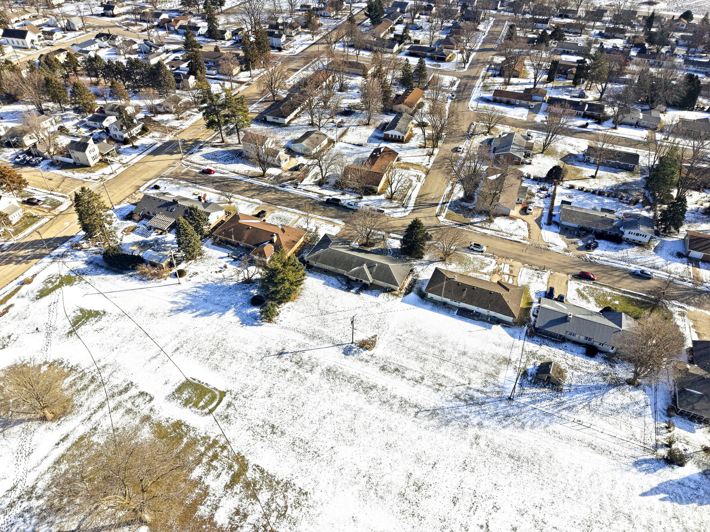 126 Shirley Avenue Rochelle, IL 61068 - Photo 48 of 53