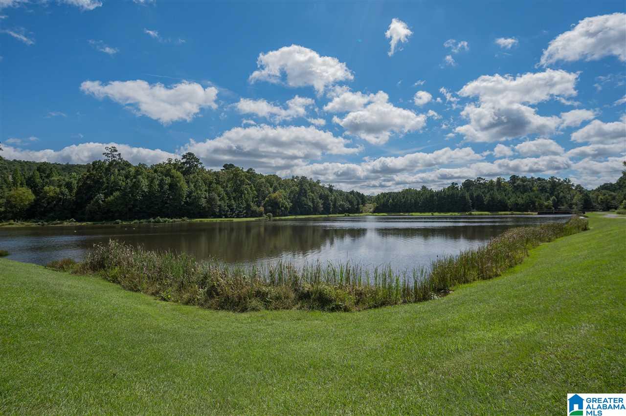 4004 Forest Lakes Road Sterrett, AL 35147 - Photo 42 of 42