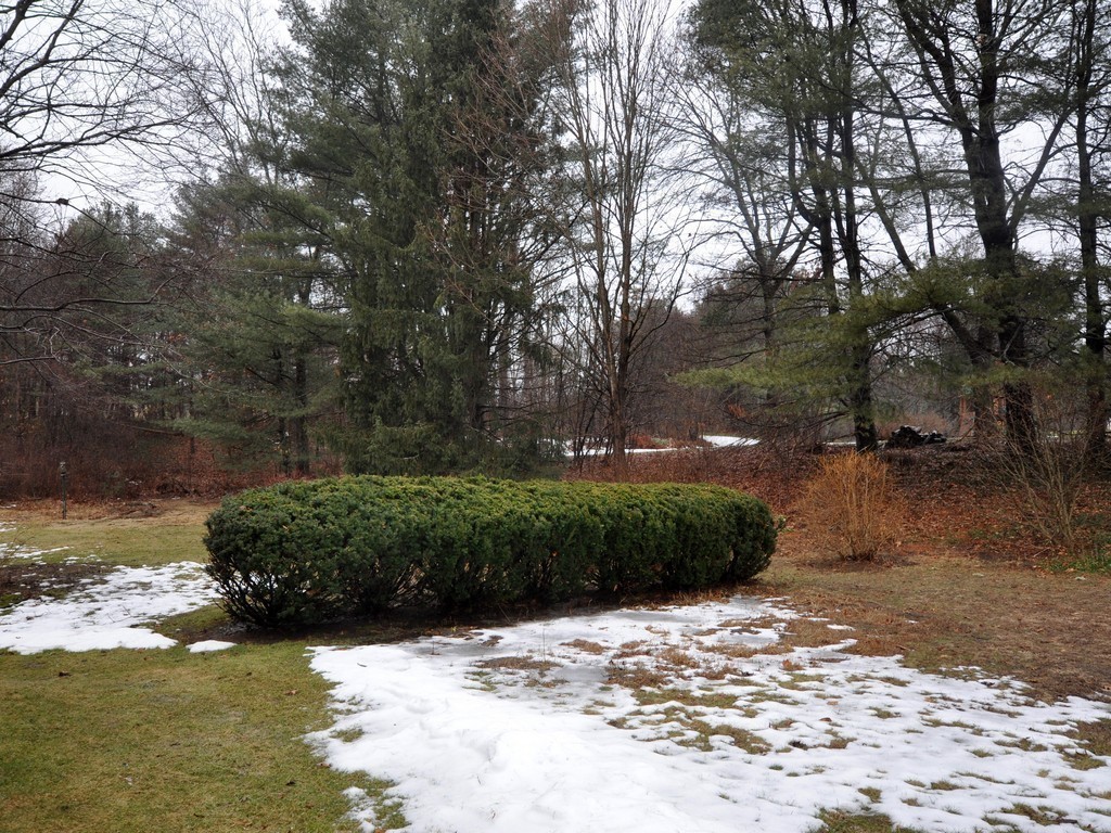 94 Anson Road Concord, MA 01742 - Photo 19 of 21 Gallery Image 19