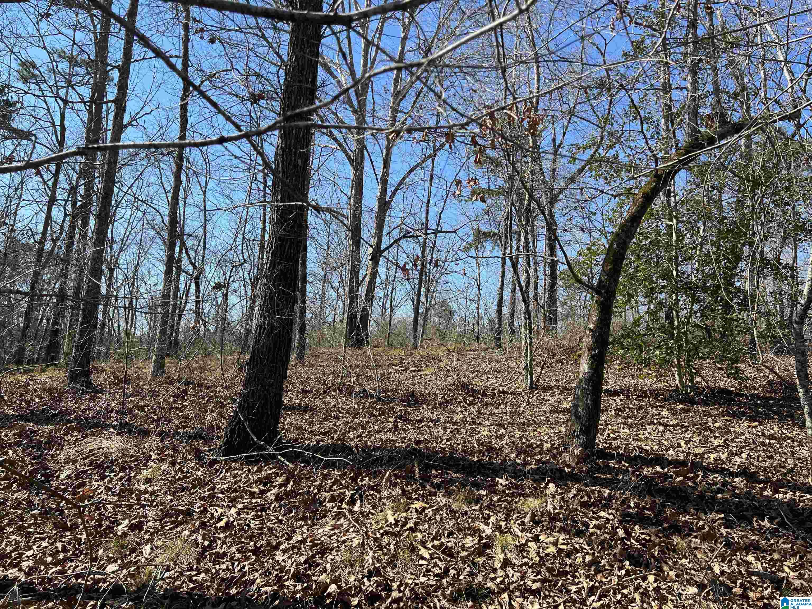 0 County Road 2811, Unit 1 Lineville, AL 36266 - Photo 13 of 13