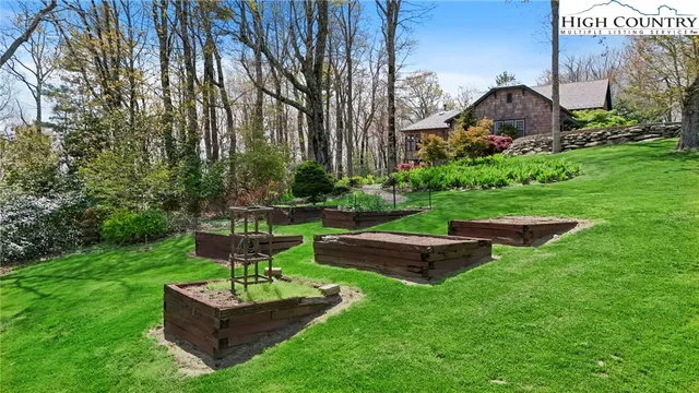 a view of a garden with potted plants