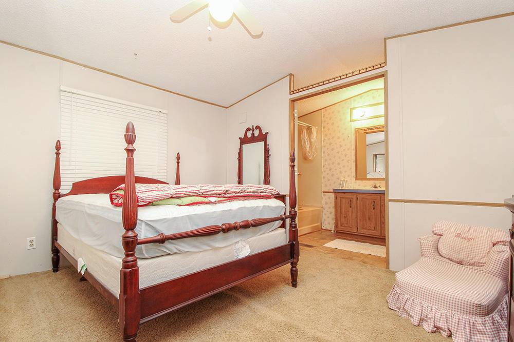 358 Shoofly Road Ridgeville, SC 29472 - Photo 12 of 13 Background 8
