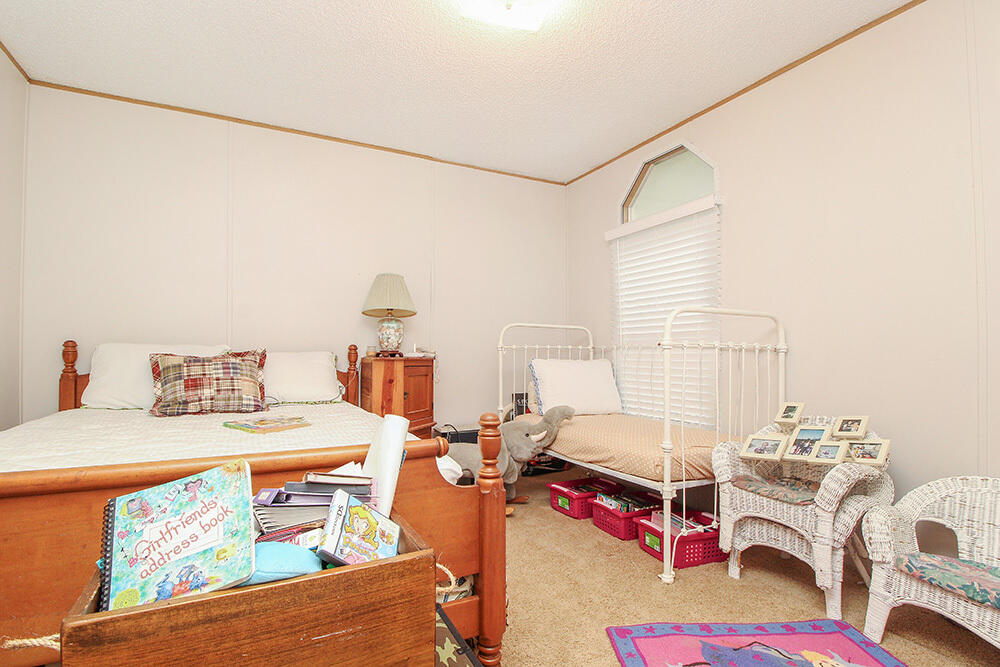 358 Shoofly Road Ridgeville, SC 29472 - Photo 5 of 13 Background 11