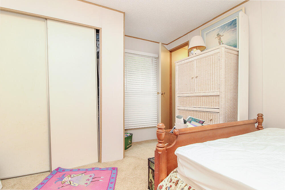 358 Shoofly Road Ridgeville, SC 29472 - Photo 6 of 13 Background 12