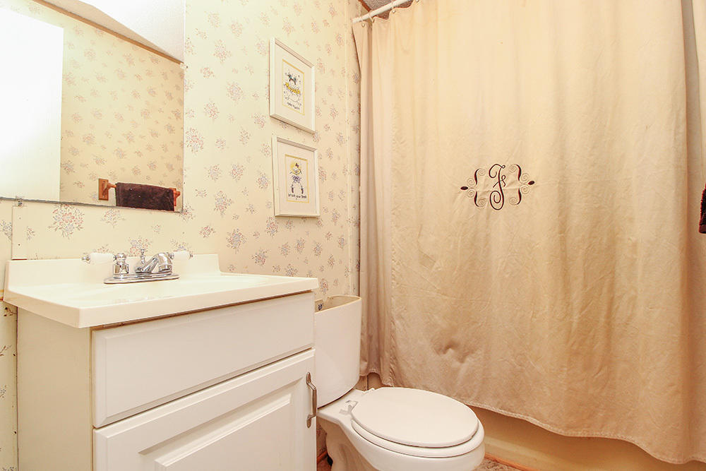 358 Shoofly Road Ridgeville, SC 29472 - Photo 7 of 13 Background 13