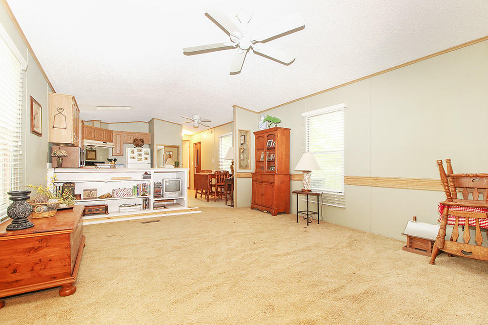 358 Shoofly Road Ridgeville, SC 29472 - Photo 8 of 13 Background 4