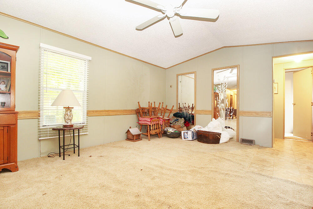 358 Shoofly Road Ridgeville, SC 29472 - Photo 9 of 13 Background 5