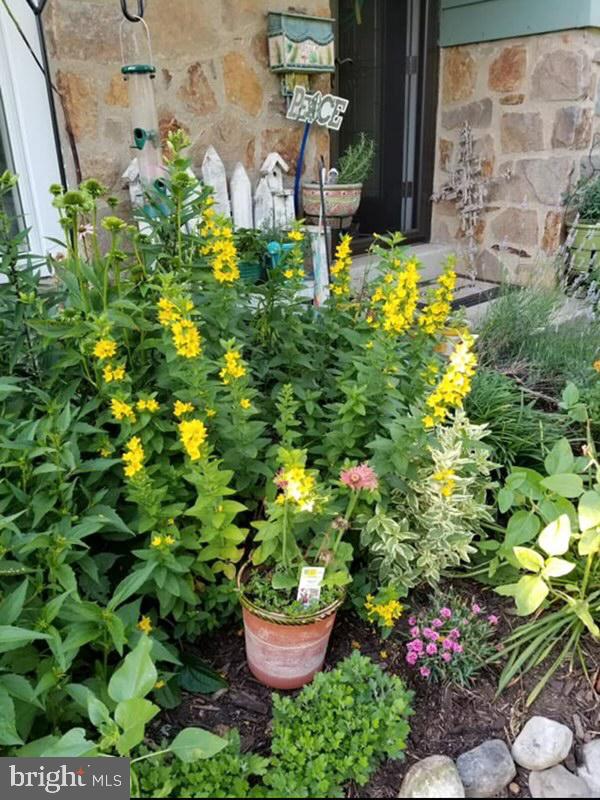 2802 Hunterdon Drive Cinnaminson, NJ 08077 - Photo 34 of 37 a bunch of flowers are in a garden