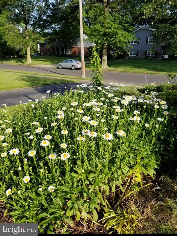 2802 Hunterdon Drive Cinnaminson, NJ 08077 - Photo 35 of 37 a view of a house with a big yard and large trees