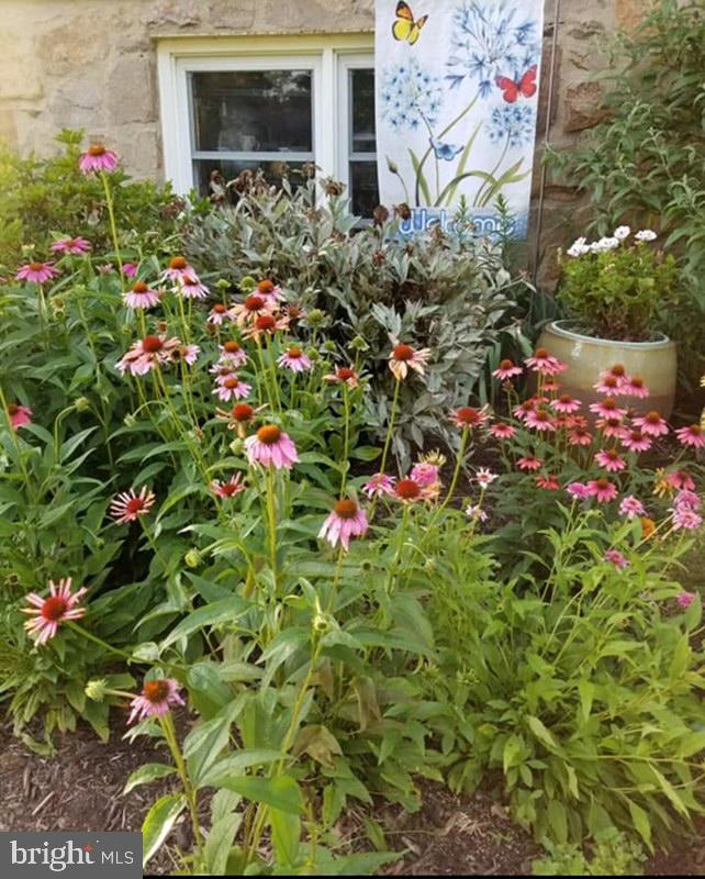 2802 Hunterdon Drive Cinnaminson, NJ 08077 - Photo 36 of 37 a picture of flowers