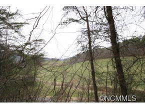 232 Potato Branch Road Leicester, NC 28748 - Photo 9 of 24 Gallery Image 9