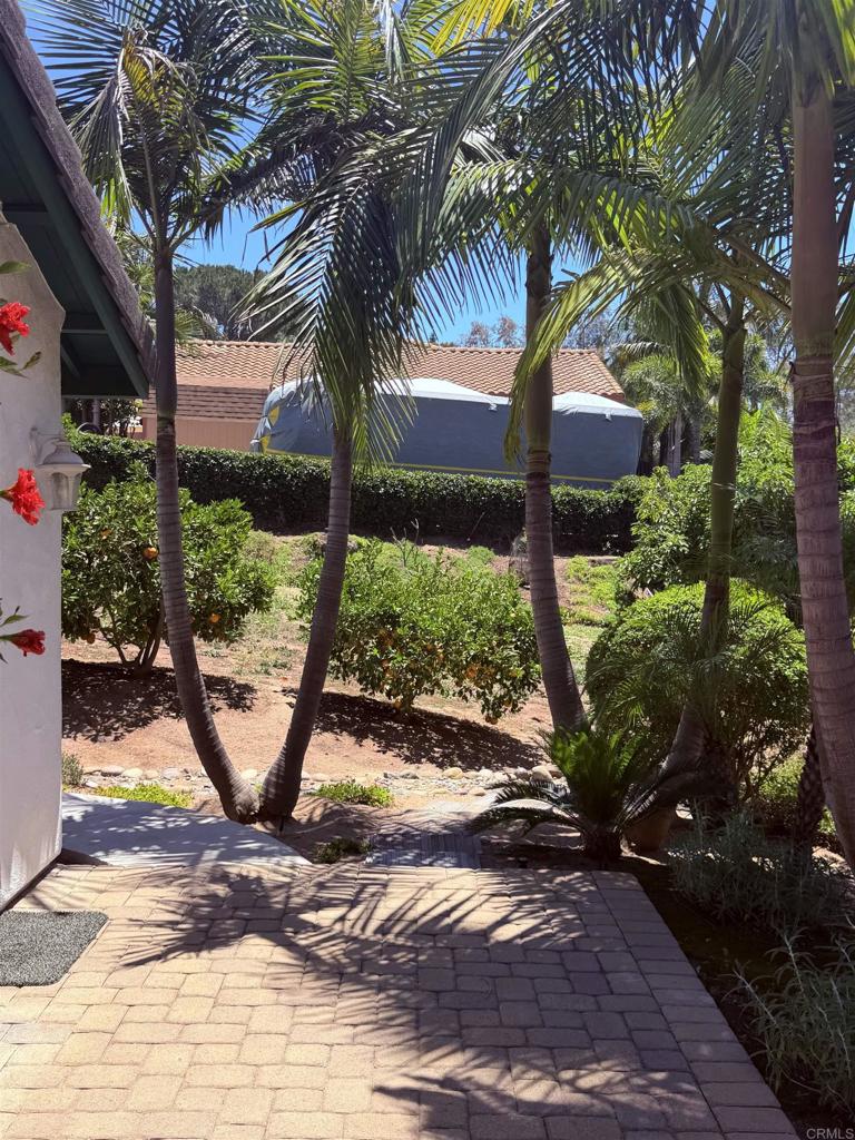 524 Rosvall Drive Fallbrook, CA 92028 - Photo 23 of 77