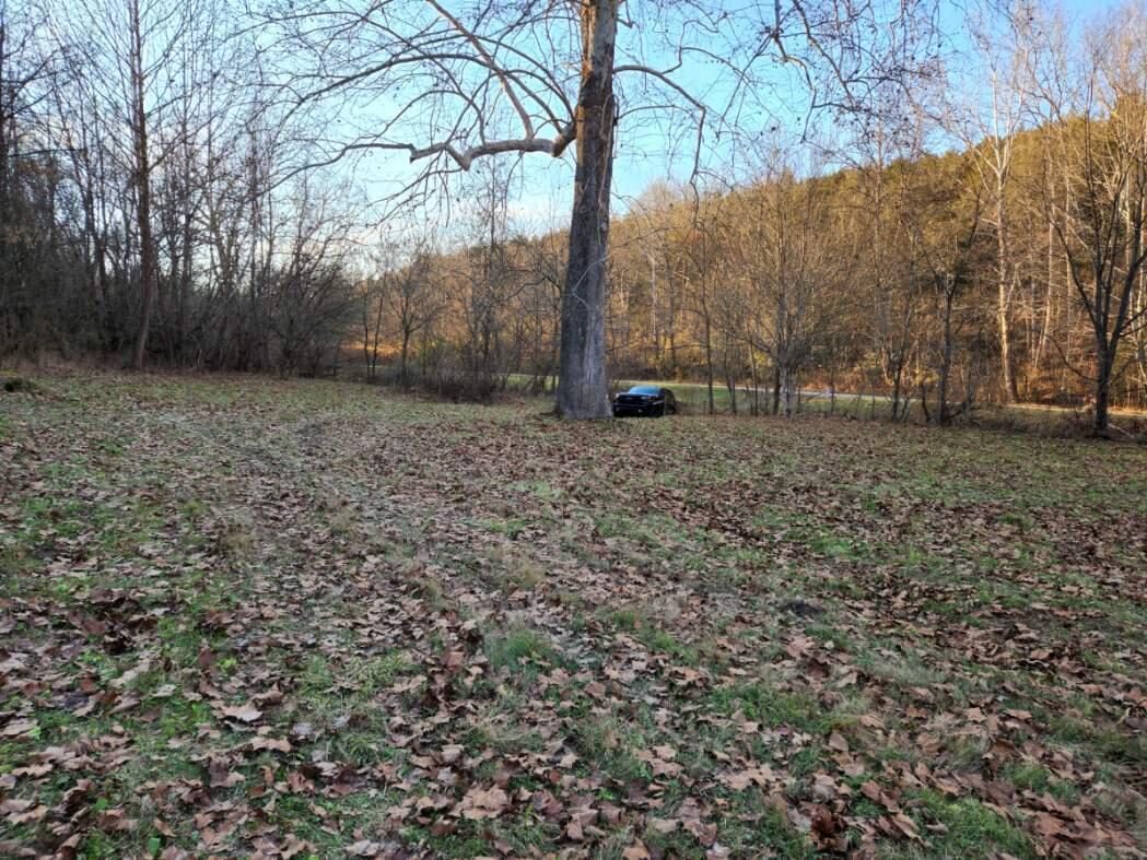 507 Vice Road Sharpsburg, KY 40374 - Photo 23 of 29 Resized_20221114_161414