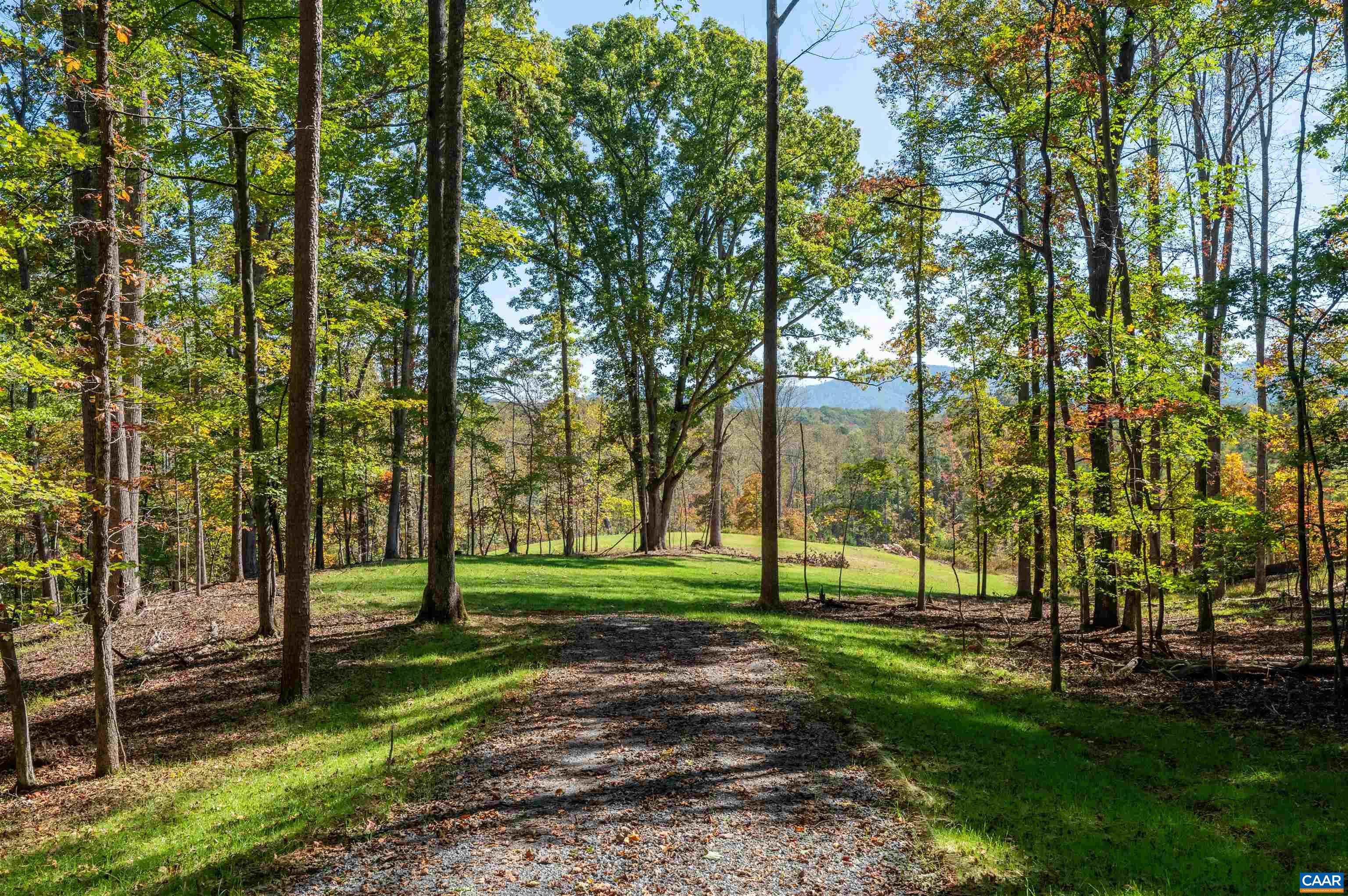 3 Dick Woods Road Afton, VA 22920 - Photo 24 of 29 Arrival at home site