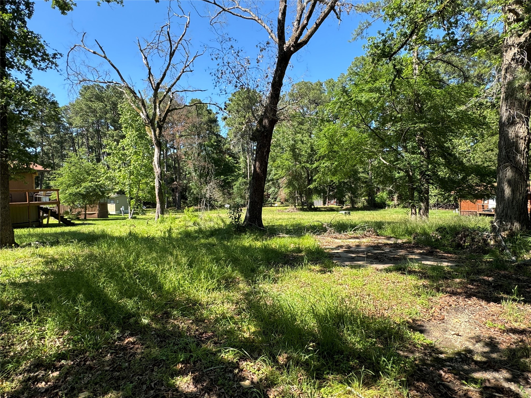 31 Whippoorwill Lane Trinity, TX 75862 - Photo 3 of 6