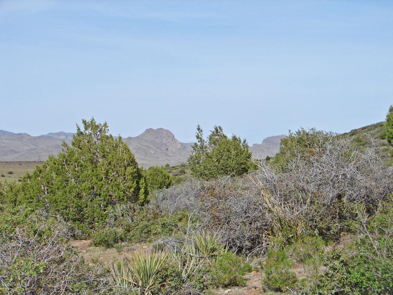 0 East Bogles Ranch Road, Unit 44 Kingman, AZ 86401 - Photo 3 of 8 photo 3