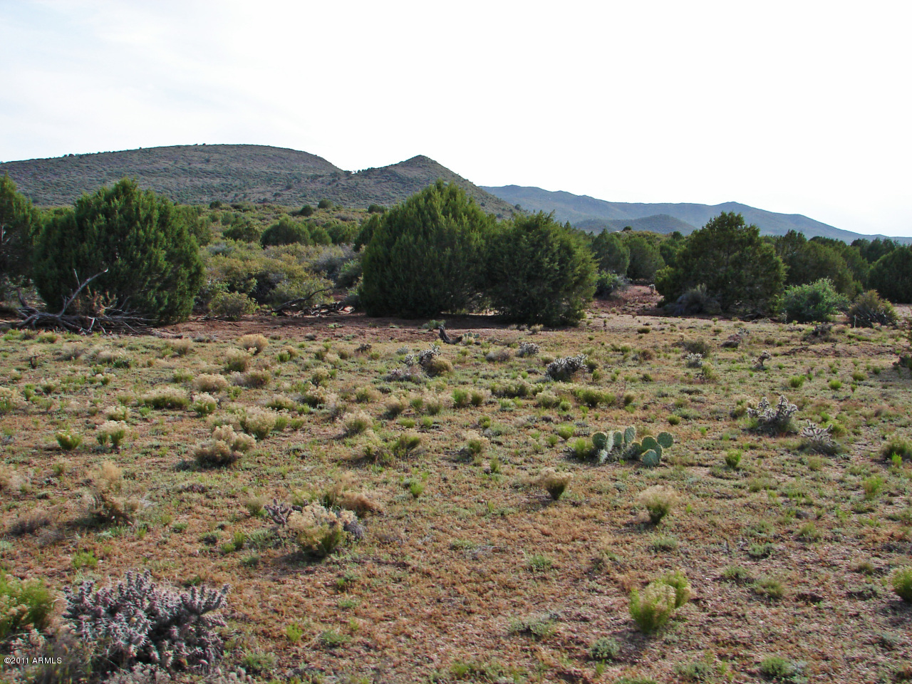 0 East Bogles Ranch Road, Unit 44 Kingman, AZ 86401 - Photo 7 of 8 photo 6