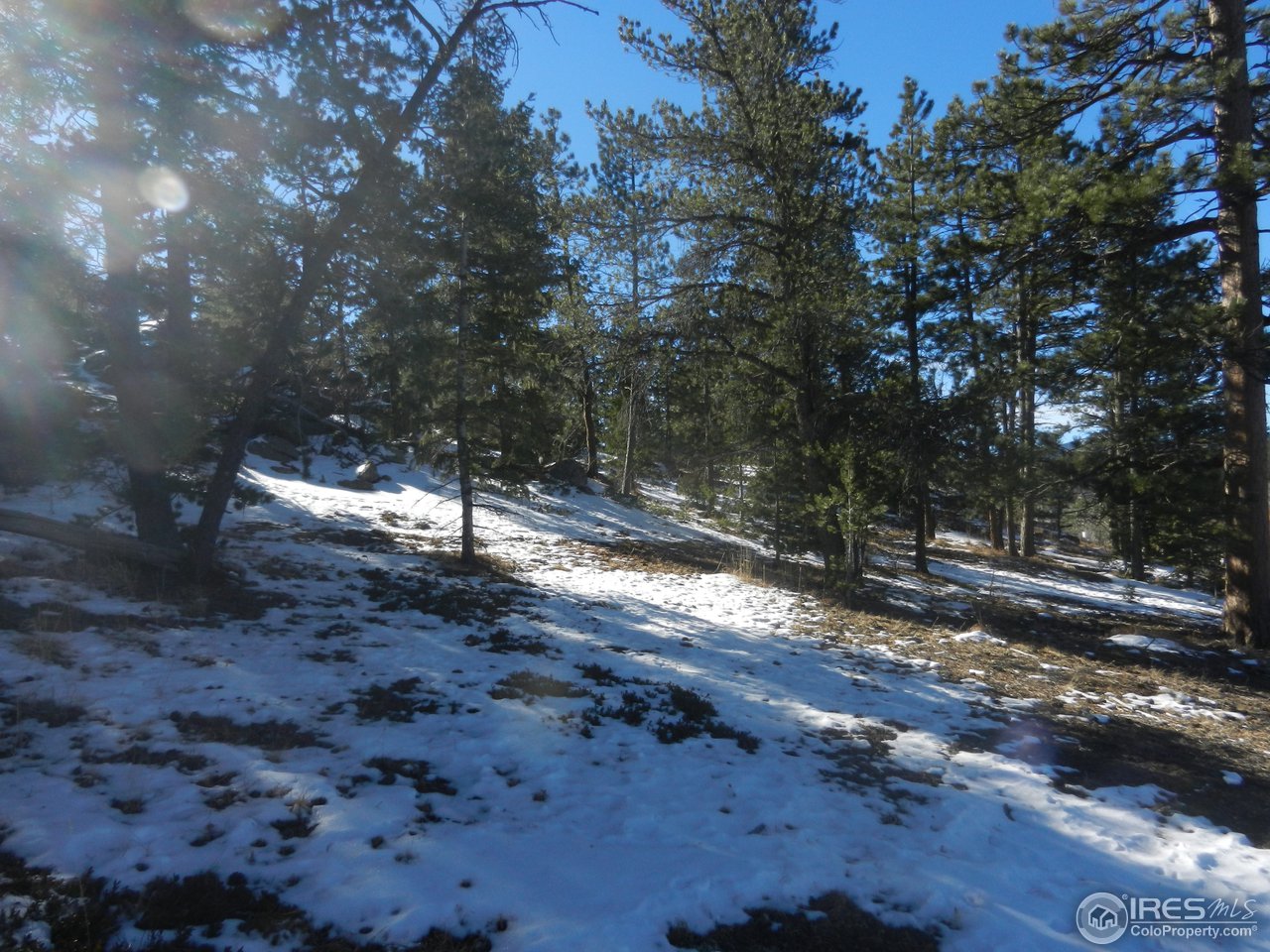 0 Monoma Road Red Feather Lakes, CO 80545 - Photo 9 of 12 Gallery Image 9