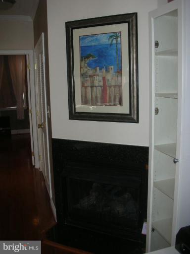 1438 Columbia Road Northwest, Unit 306 Washington, DC 20009 - Photo 14 of 15 Fireplace