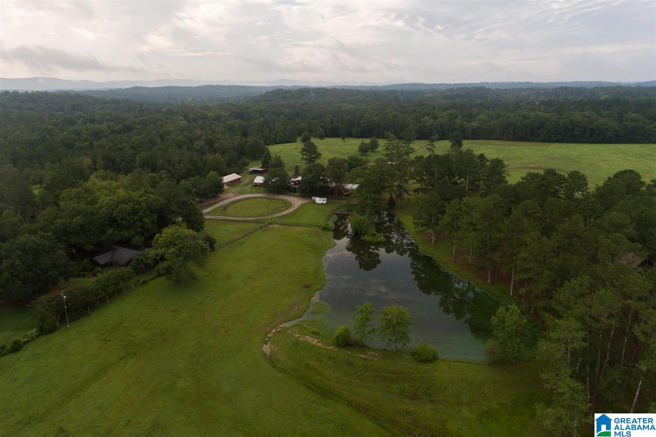 1366 Holland-Finley Road Jacksonville, AL 36265 - Photo 3 of 33