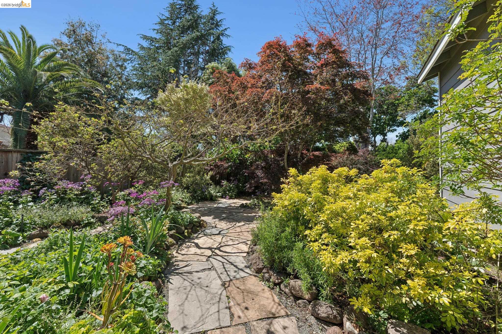 1356 Acton Street Berkeley, CA 94706 - Photo 40 of 62