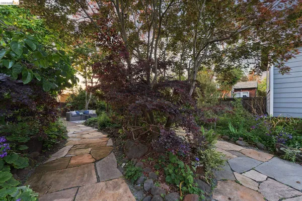 a backyard of a house with plants and trees