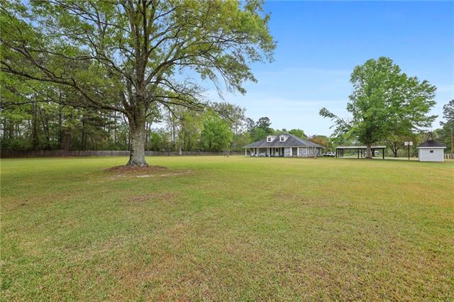 23344 Highway 1062 Loranger, LA 70446 - Photo 8 of 34