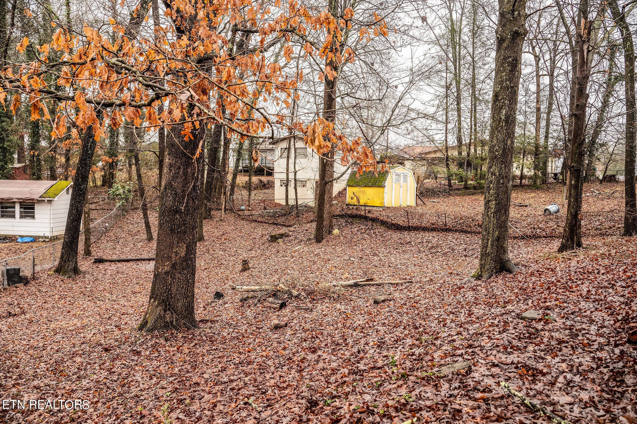 109 Gordon Road Oak Ridge, TN 37830 - Photo 23 of 24