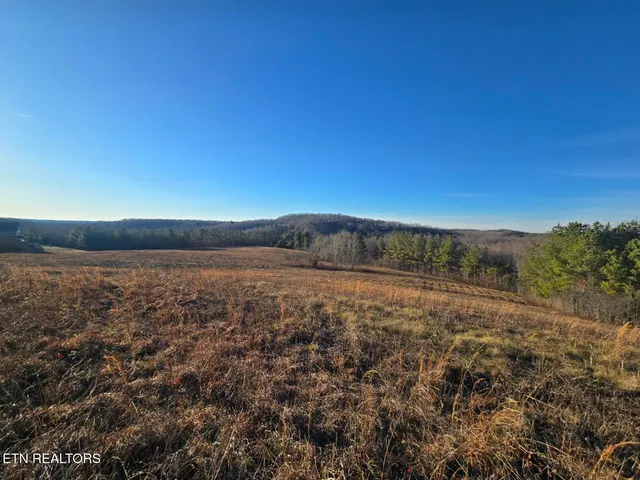$46,997 | Lot 5 Honey Creek Road, Allardt, TN 38504
