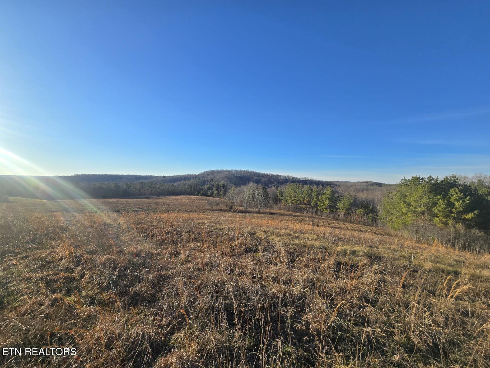 Lot 5 Honey Creek Road Allardt, TN 38504 - Photo 10 of 20 20251230_162023